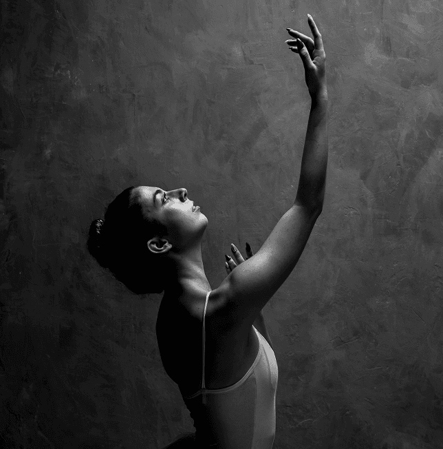 Pricing Plan - Ballet Pointe Shoes